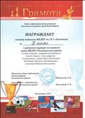 Районный турнир по шашкам среди МКДОУ Калининского района г. Новосибирска